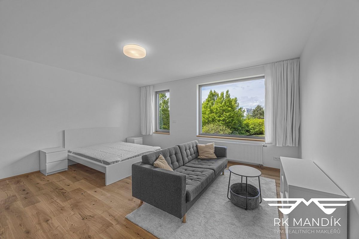 Pronájem bytu 1+kk 45 m²